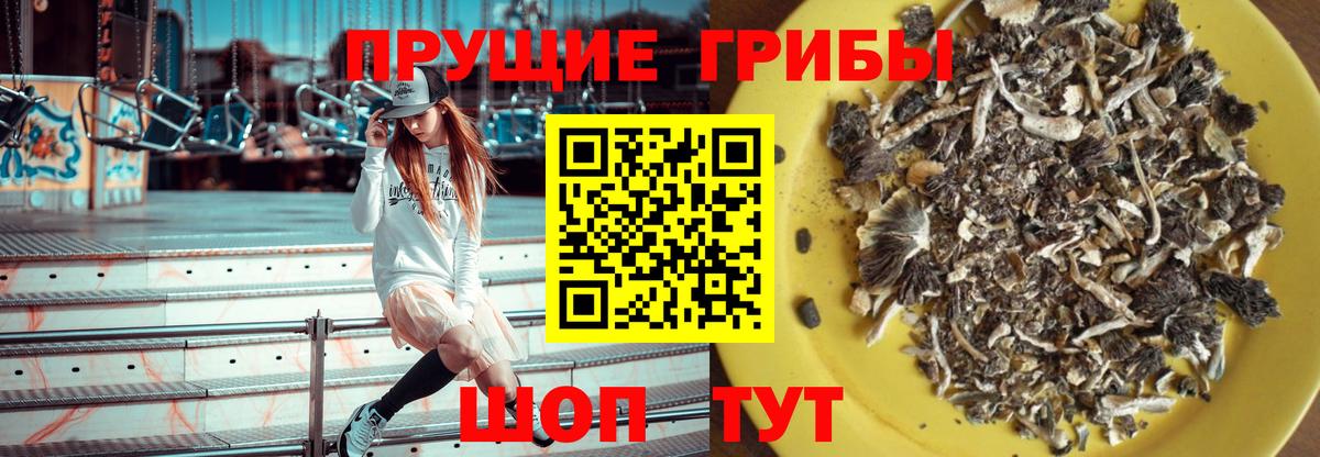 Семёнов  Галлюциногенные грибы MAGIC MUSHROOMS  Вход с VPN 